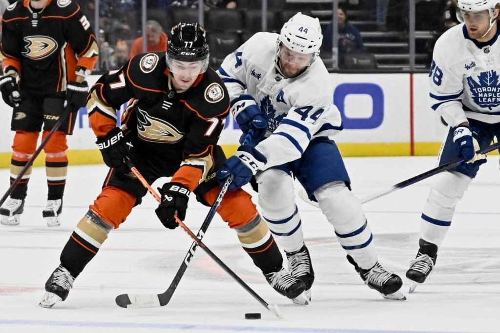 maple leafs vs ducks