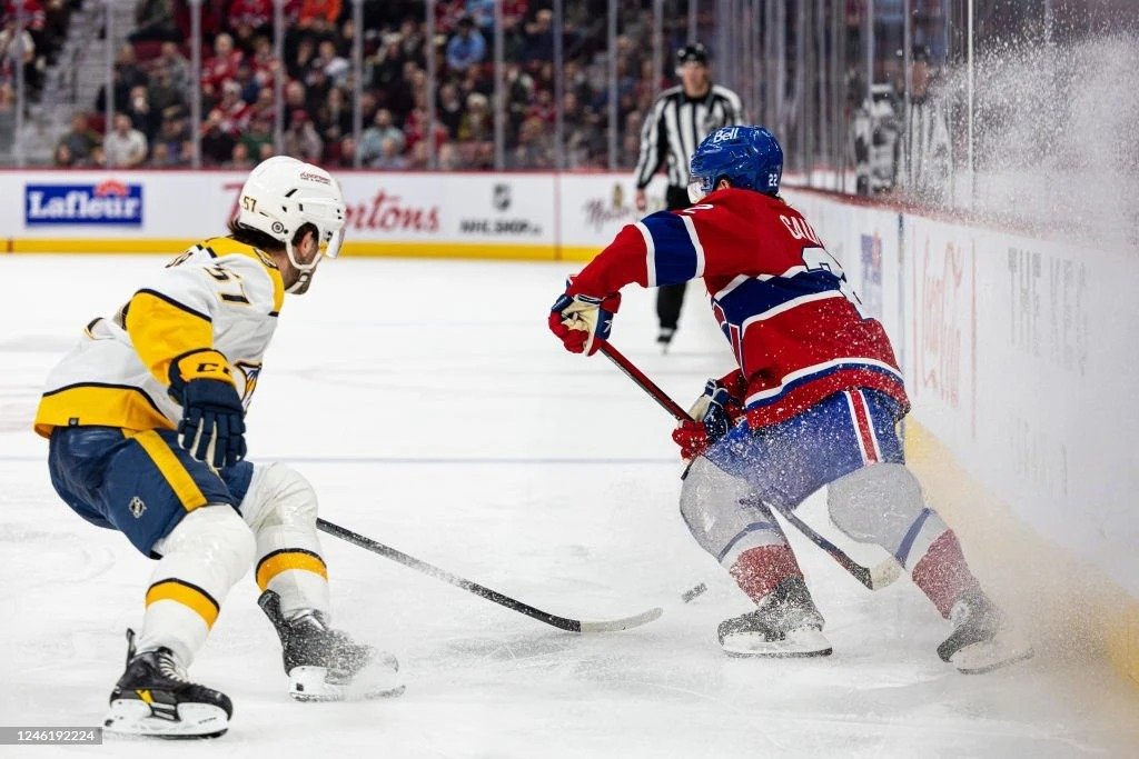 canadiens – predators